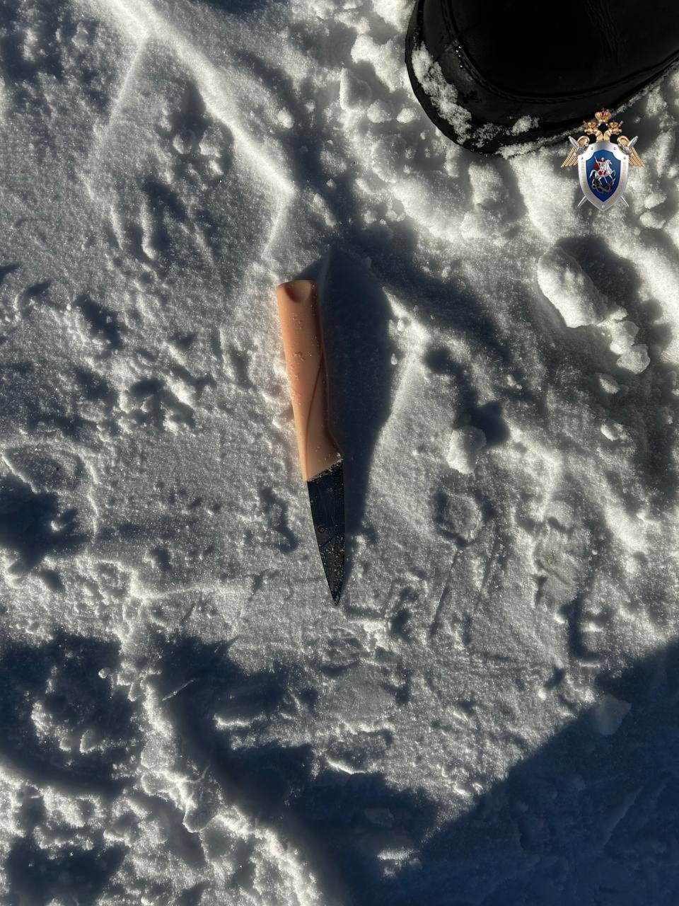 В Светогорске местный житель подозревается в причинении тяжкого вреда здоровью, повлекшего по неосторожности смерть человека