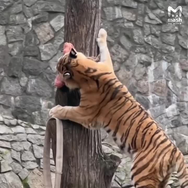 ���� �������� ���� ������ �� �������������� �������� � ��������� ���� �� ����� � 16 ��� ��-�� ������ ��������-���������� ���������������