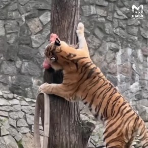 ���� �������� ���� ������ �� �������������� �������� � ��������� ���� �� ����� � 16 ��� ��-�� ������ ��������-���������� ���������������