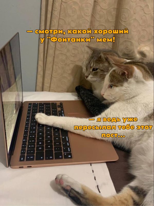 ��������� � ����� ���������� ��� ���������� � ���������� �� 2025 ��� �� ������ �����������