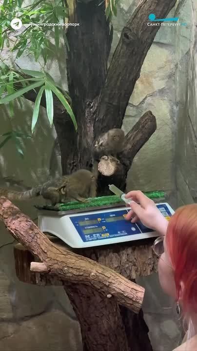 ���������� ������� ���� � ������� �� �������������� �������� ��������� �������� ������������ � ��� �������, �� ���������