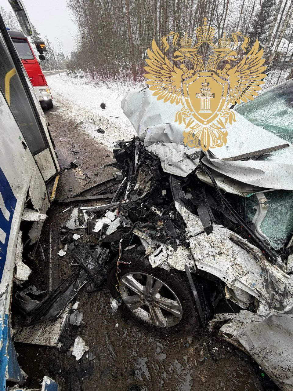 Всеволожский городской прокуратуры организована, проверка по факту ДТП в д. Агалатово