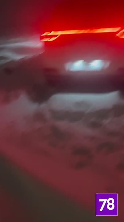 Погода устроила Петербургу и Ленобласти серьёзную проверку на прочность в преддверии весны