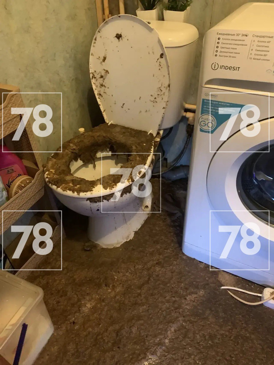 Прекратите жаловаться на то, как вы сегодня тонули в слякоти и лужах Прекратите жаловаться на то, как вы сегодня тонули в слякоти и лужах