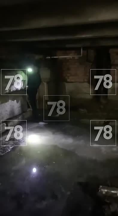 Прекратите жаловаться на то, как вы сегодня тонули в слякоти и лужах