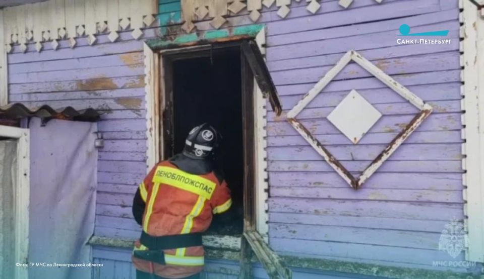 В Сланцевском районе Ленобласти на пожаре погибло два человека