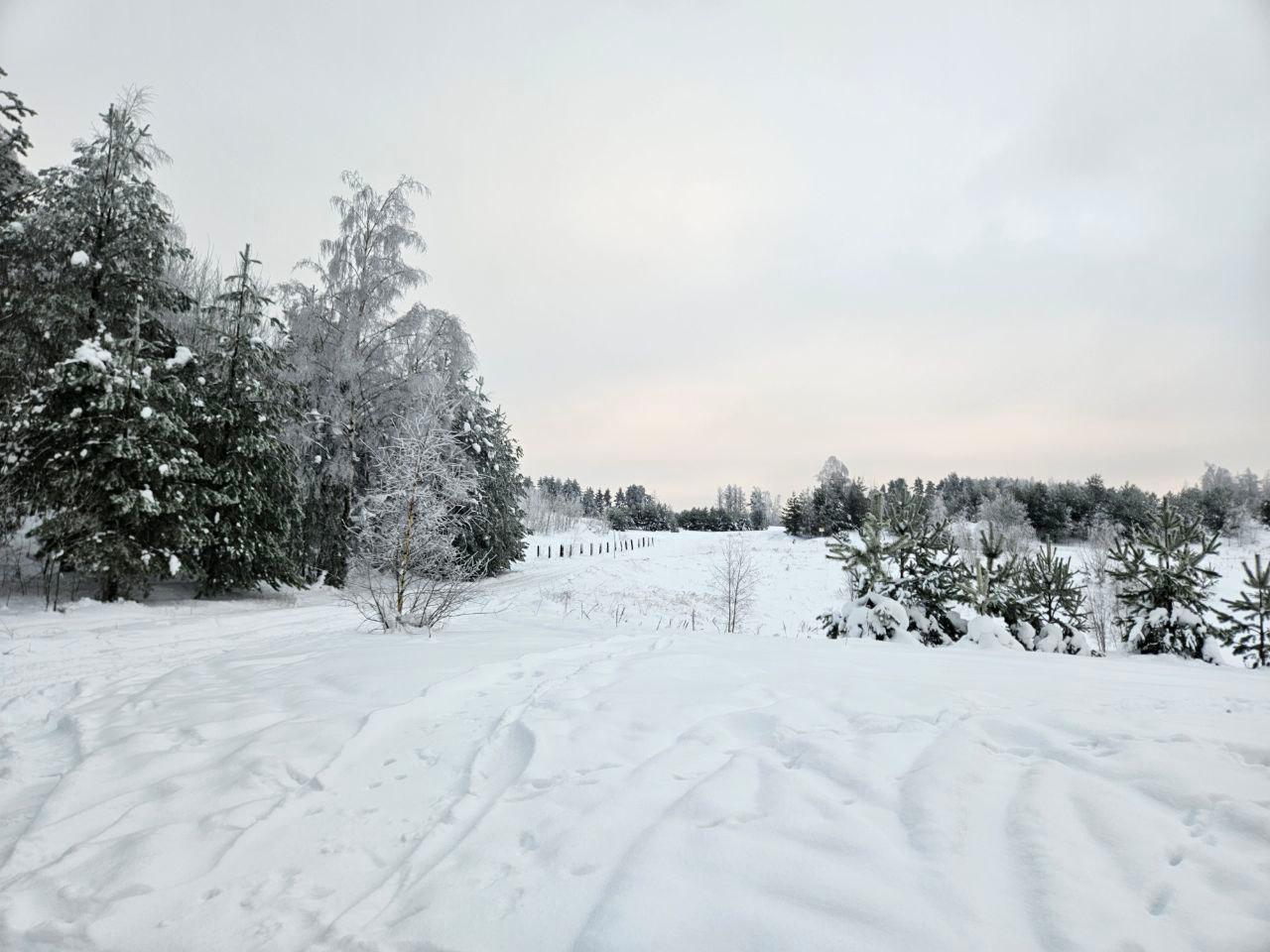 Снежно-ледяное кружево. окутало на зимние «Колтушские высоты» Снежно-ледяное кружево. окутало на зимние «Колтушские высоты»