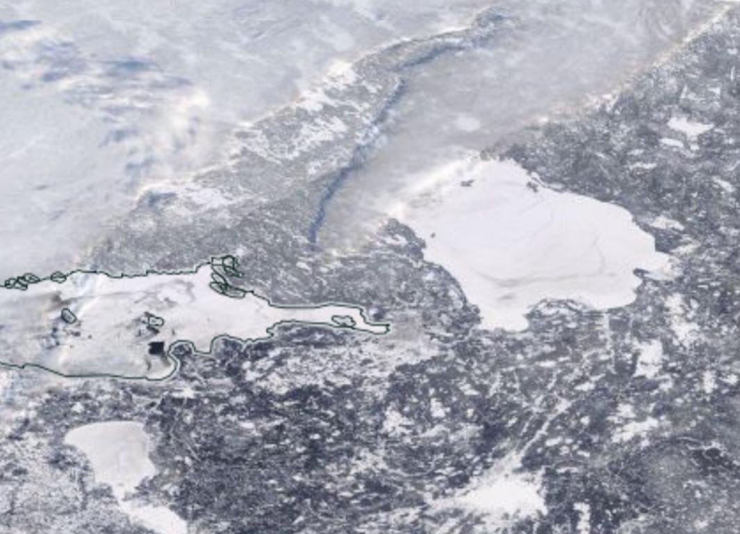 Лед на Ладоге и Финском заливе создал идеальные условия для размножения ластоногих Лед на Ладоге и Финском заливе создал идеальные условия для размножения ластоногих