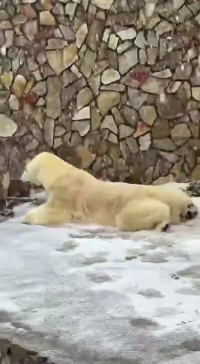 ������������� ������ � ������� ������ ����� �������� � ��������� � ������������� ��������