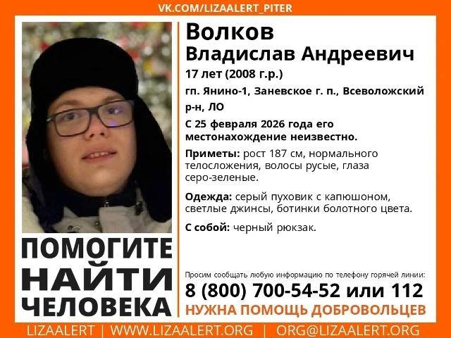 Александр Малькевич: В Петербурге ищут 17-летнего Владислава Волкова!