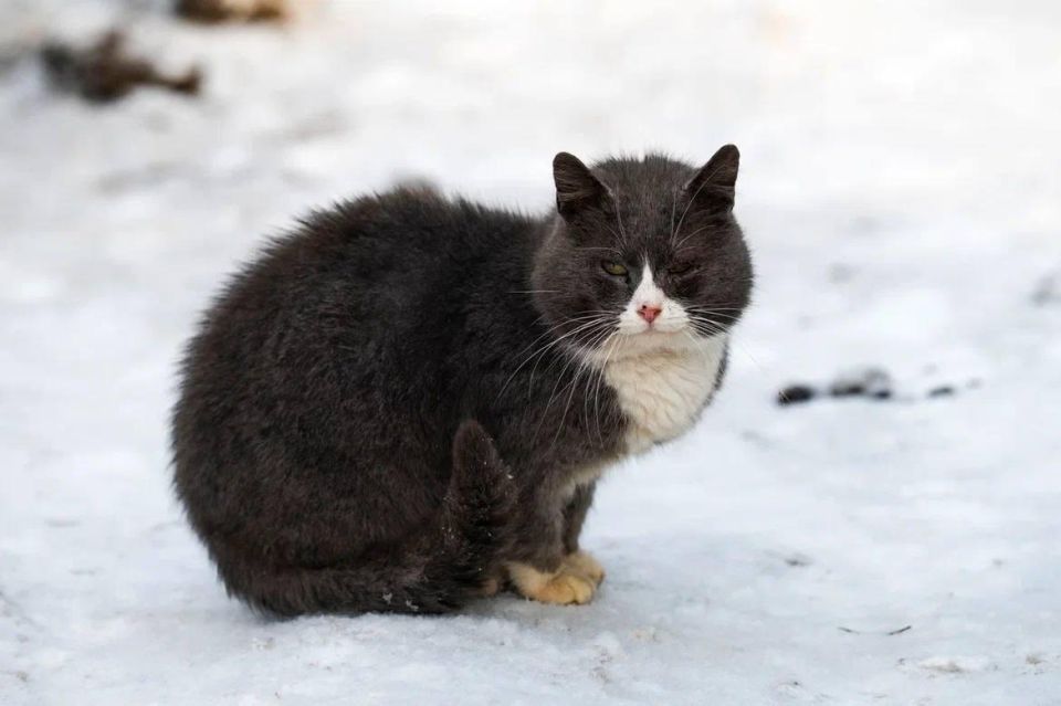 ��������� ��������� ��������� �������� ������������� �������