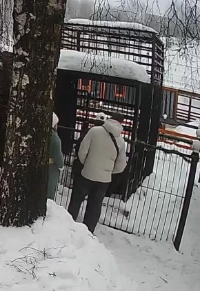 � ������� ���������� �������� ��������� ������� ������� ���������