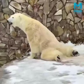 ����� ��������� ��������� �� �������������� �������� � ���� � ������, ��� ��������� �� ����� ������