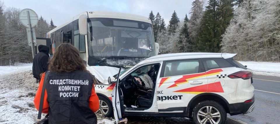 В Волосовском районе в связи с произошедшим ДТП с участием пассажирского автобуса возбуждено уголовное дело