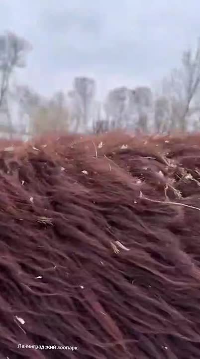 Хлебобулочные друзья Гренка и Сушка переехали