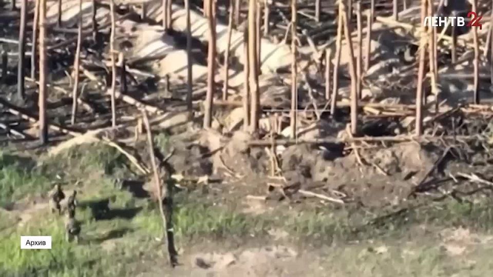 � ������ � ���� �����: ����������� ������ ������� ��������� ��������� ������ ����� ������