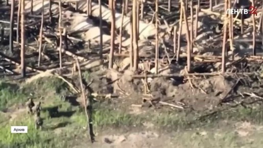 У Мурино — свой герой: ленинградцу Андрею Онькину посмертно присвоено звание Героя России