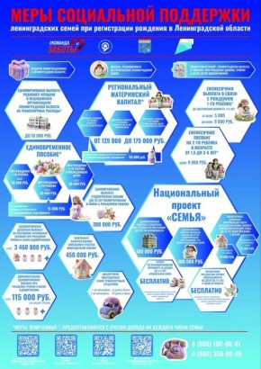 Соцзащита Ленобласти собрала в одной памятке основные меры поддержки ленинградских семей при рождении детей: от памятной медали «Родившемуся на героической Ленинградской земле» и подарка новорожденному до регионального...
