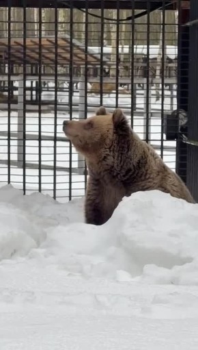 �������� ��������� �� ���������� �� ��� ��������� � �������� ����� ������ � ������������ �������