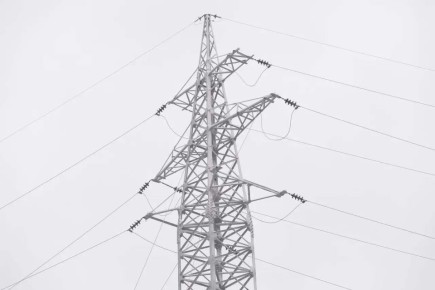 Заявления на установление льготного тарифа, а также расширение диапазона потребления электроэнергии жители области должны подавать напрямую гарантирующим поставщикам