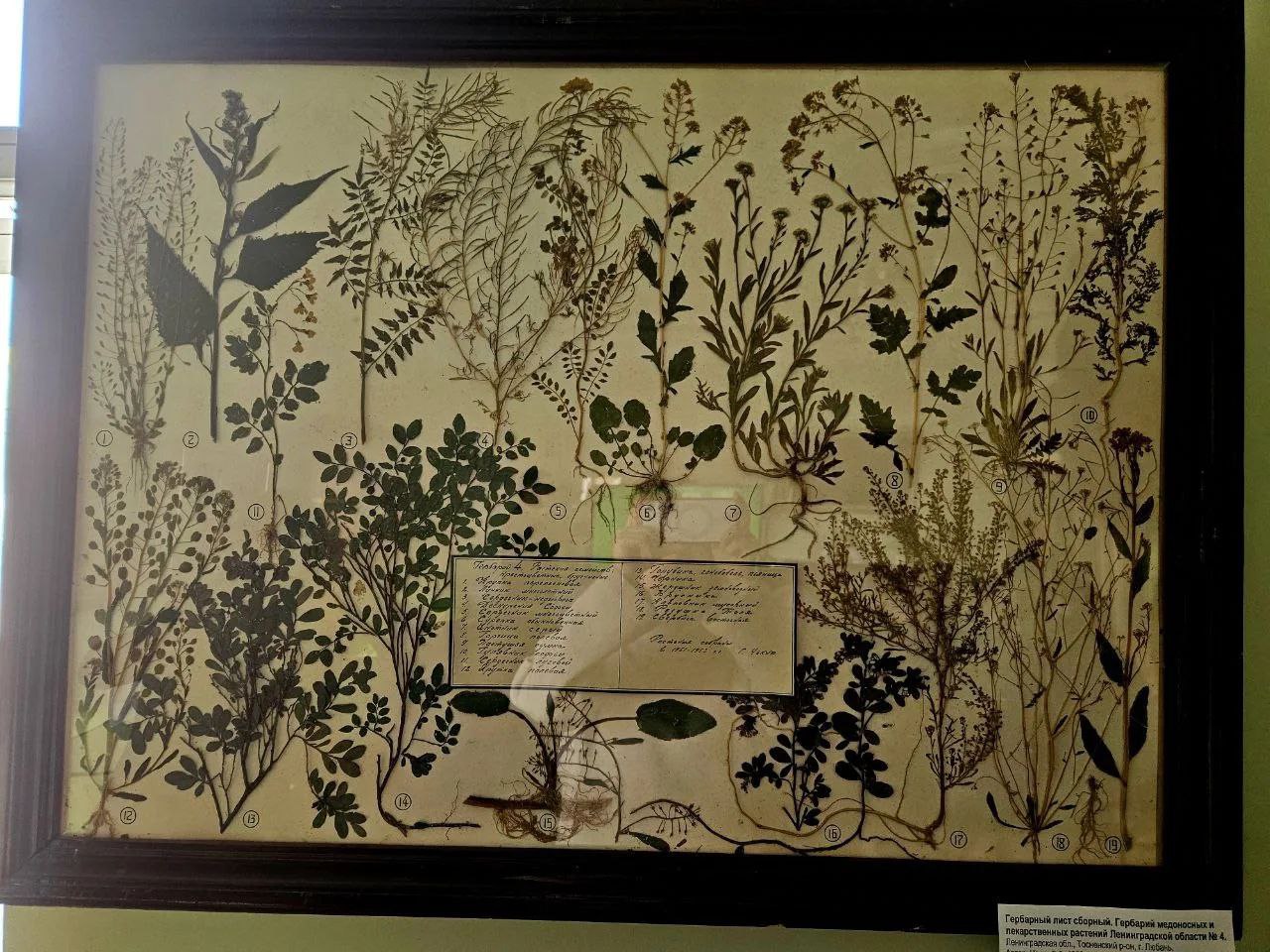 В Ленобласти системно обновляют музейные фонды, а также бережно сохраняют вековую историю региона В Ленобласти системно обновляют музейные фонды, а также бережно сохраняют вековую историю региона