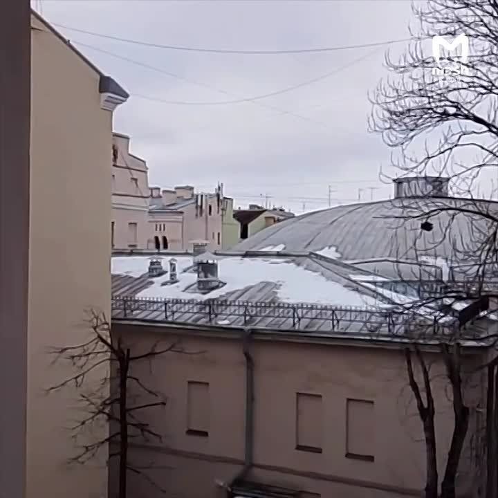 �������� ������ ���������� ������ � ������ � ��� � ������������� ���� ����� ��� �������