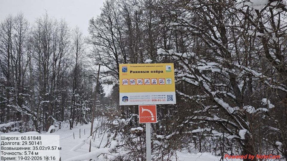 � ���������� ������������ ���������� �������������� ���� � �������-������� ������