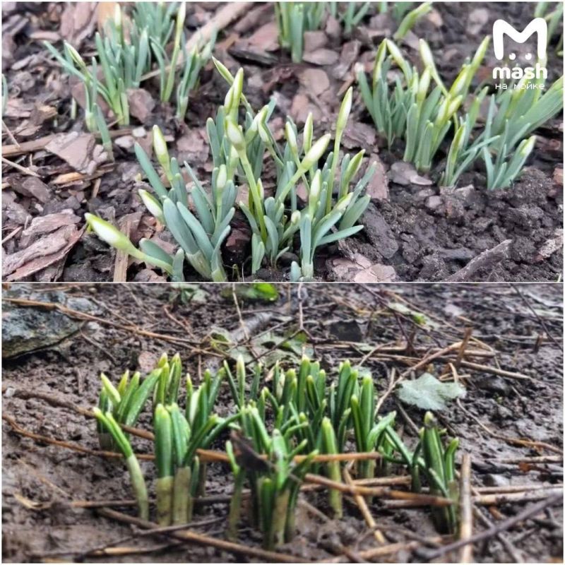 �� +10 �������� (�������-��) ��� �� ������ ���������� ��������