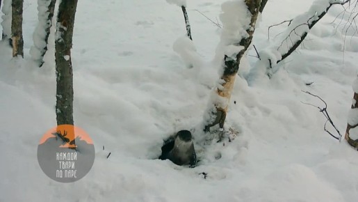 ����� �� ���������� ���� ������ � ��������� ������ - �����