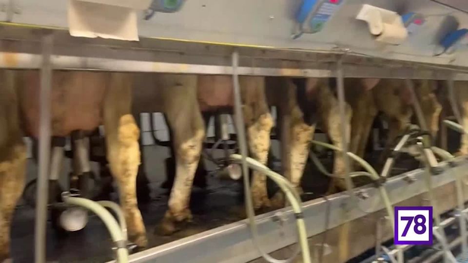 ������������� ������ ����������� ������� ��� ��������