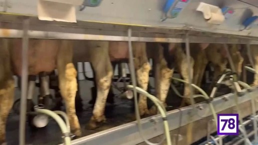 ������������� ������ ����������� ������� ��� ��������