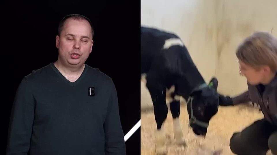 12 ������� ���������� � ������� ��� �� ���������� �����