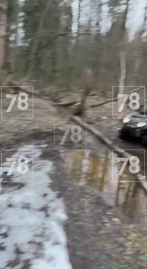 Таких «подснежников» никто не ждал