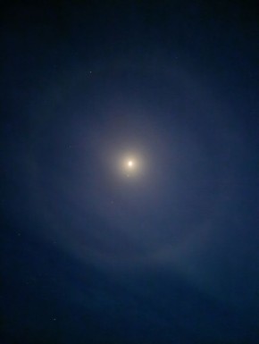 ������� ���� ���������� ���������� ������� ������������ ���������