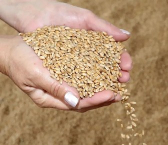 ����� ����� ������������ ��������� �������� � ������������� ������� � ����� 740 ��� ������