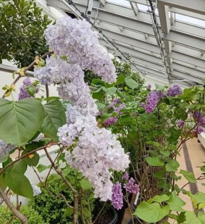 ������� ���������� ������ �������