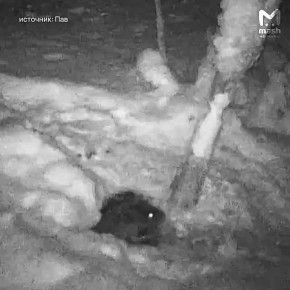 ������� ���� �� ����� �� ���������� � ��� ��� ������ ���������� ������, ��� ���� �� ���������� �� ����� �������� ������, ����� ����� ����� ������