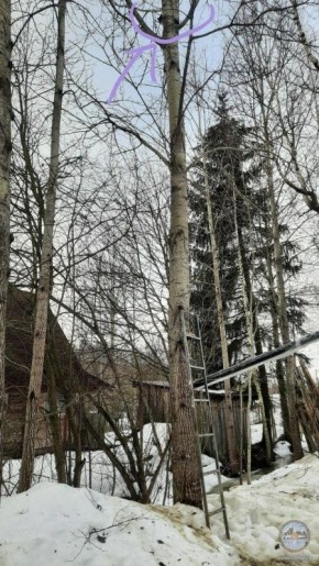 � ������� ���� ��������� ����� � ������ ����, ������������ �� ��� ���� �����