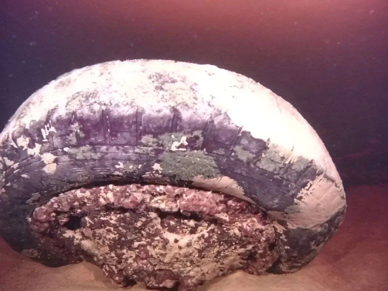 Порядка 10 предметов времен Великой Отечественной войны обнаружили участники экспедиции на дне Ладожского озера за первые два дня работ Порядка 10 предметов времен Великой Отечественной войны обнаружили участники экспедиции на дне Ладожского озера за первые два дня работ