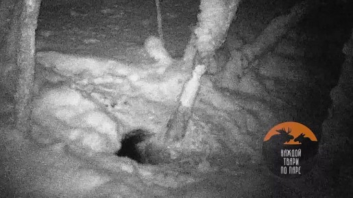 � ���������� ���� ���� �� ����� ��� ��������� �� ������ - �����