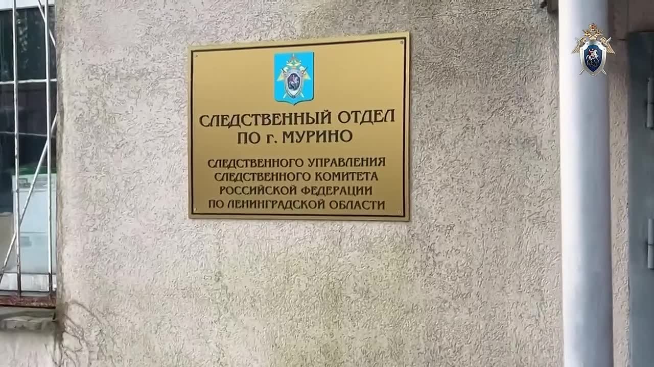 Во Всеволожском районе мужчина обвиняется в оправдании терроризма