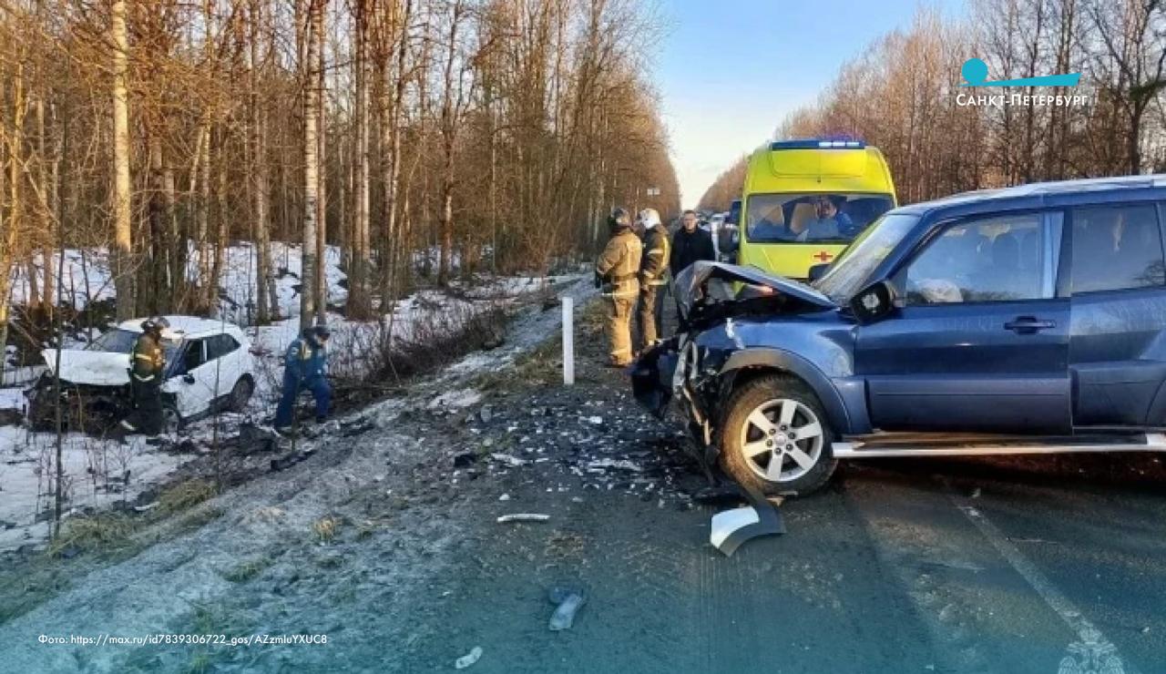 Под Гатчиной произошло смертельное ДТП: погиб водитель «Хендая»