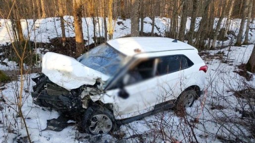 � ���������� ������ �� ������ 41�-101 � �������� � ������� ����� ������ ��������� ������� ������������ "������ �����" � "��������� �������"