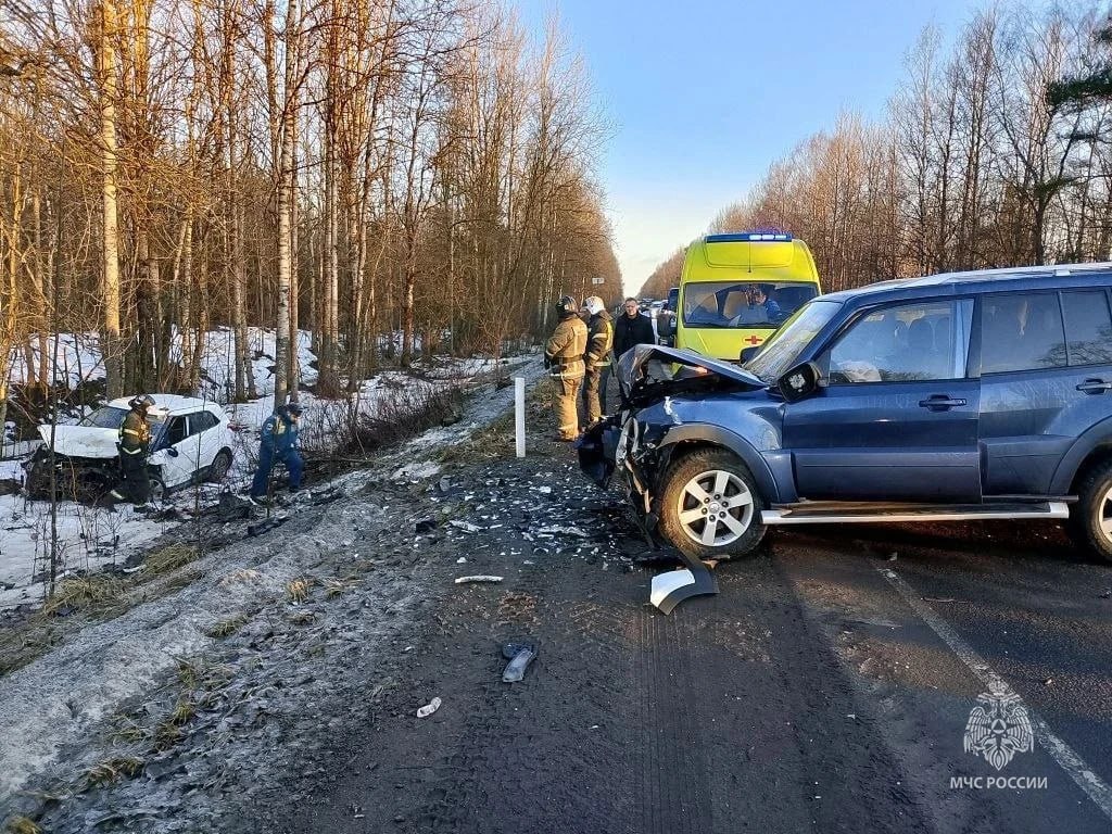 Лобовое ДТП произошло в Гатчинском районе — два азиатских внедорожника столкнулись на повороте в Малое Верево