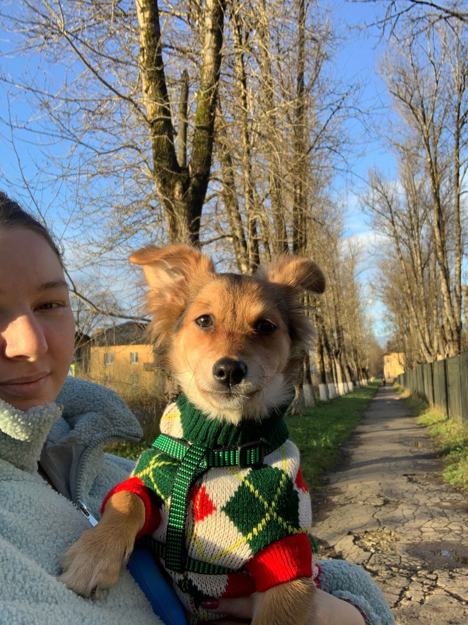 Сегодня героем нашей рубрики «Одна судьба – одна Победа!» стала наша коллега Малинова Ксения Николаевна, секретарь участковой избирательной комиссии избирательного участка № 811 Сланцевского муниципального района Сегодня героем нашей рубрики «Одна судьба – одна Победа!» стала наша коллега Малинова Ксения Николаевна, секретарь участковой избирательной комиссии избирательного участка № 811 Сланцевского муниципального района