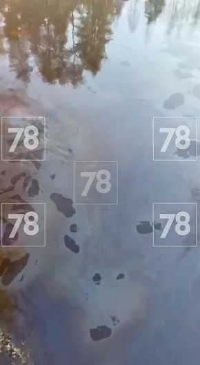 ������� �� 40-50 ������ �������