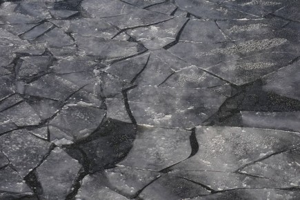 � ������������ ������ � ��������� �������� ������ ������������ ��������� �������