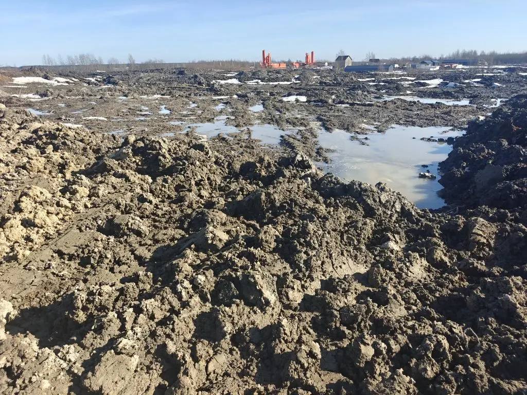 В Колтушах обнаружили незаконную свалку со стройотходами В Колтушах обнаружили незаконную свалку со стройотходами