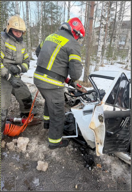 За прошедшую неделю подразделения территориального пожарно-спасательного гарнизона Ленинградской области реагировали на 98 оперативных событий: