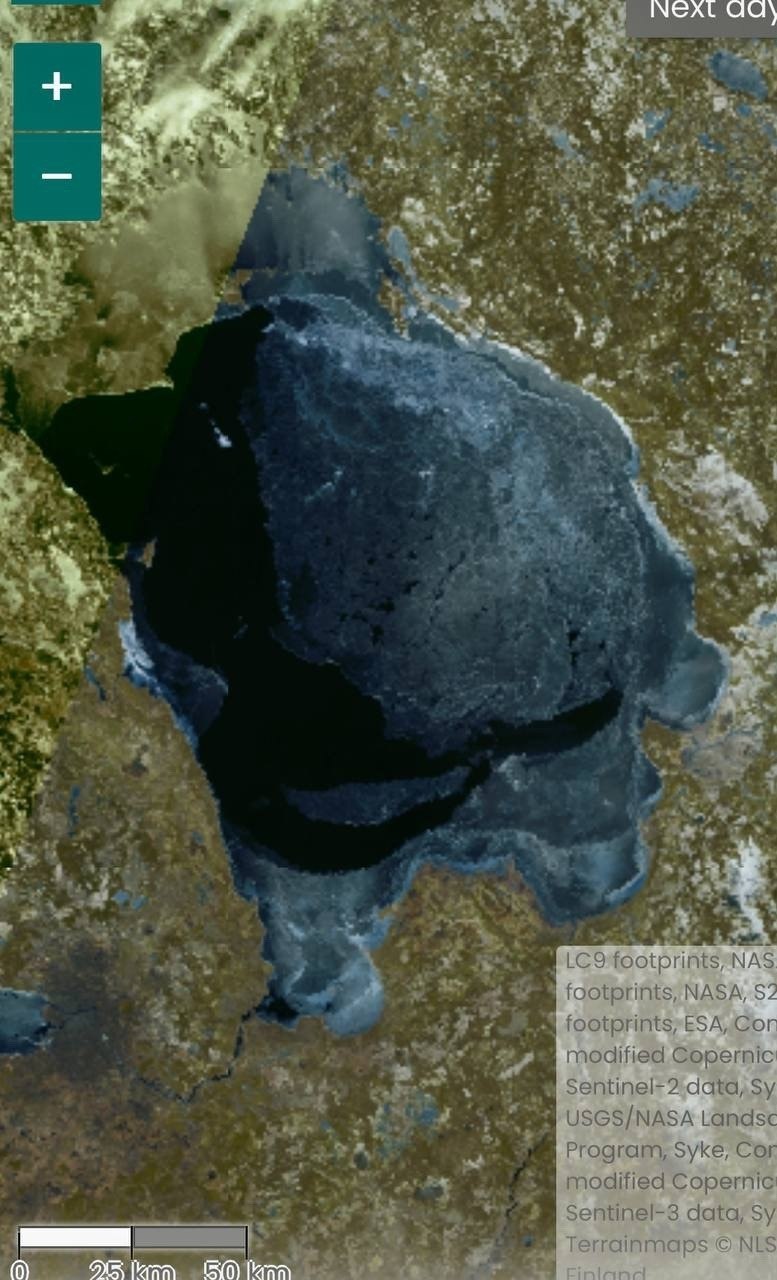 Лед на Финском заливе и Ладоге создал идеальные условия для размножения ластоногих Лед на Финском заливе и Ладоге создал идеальные условия для размножения ластоногих